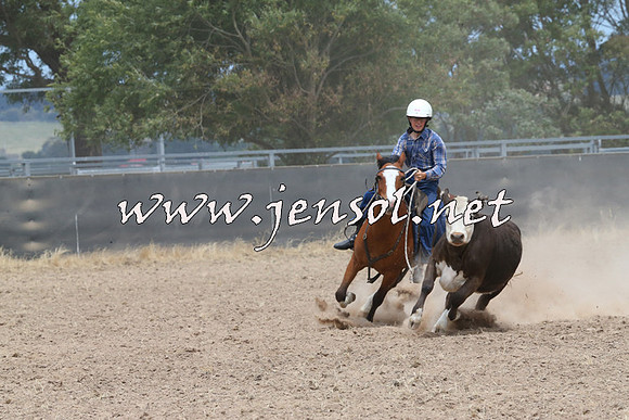 BraidwoodCampdraft2014_1233