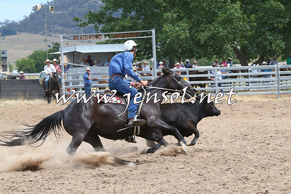 BraidwoodCampdraft2014_1293