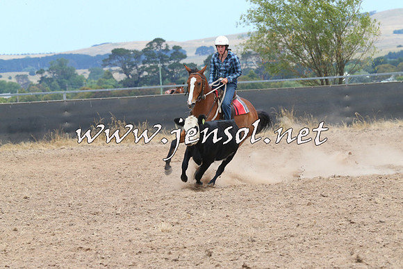 BraidwoodCampdraft2014_1256
