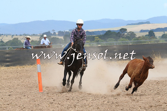 BraidwoodCampdraft2014_1274