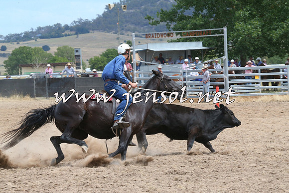 BraidwoodCampdraft2014_1294