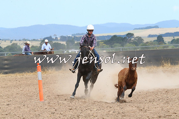 BraidwoodCampdraft2014_1268