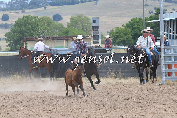 BraidwoodCampdraft2014_1280