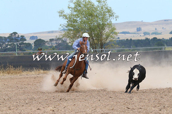 BraidwoodCampdraft2014_1223