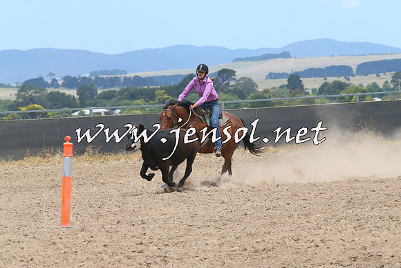 BraidwoodCampdraft2014_1199