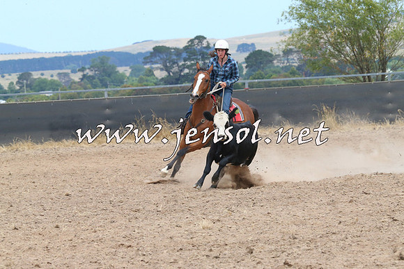 BraidwoodCampdraft2014_1255