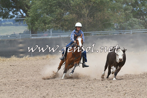 BraidwoodCampdraft2014_1230