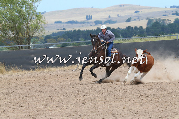 BraidwoodCampdraft2014_1264