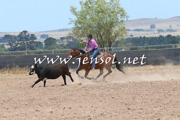 BraidwoodCampdraft2014_1197