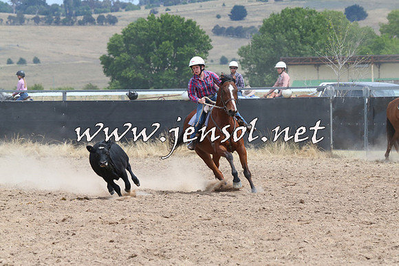 BraidwoodCampdraft2014_1305