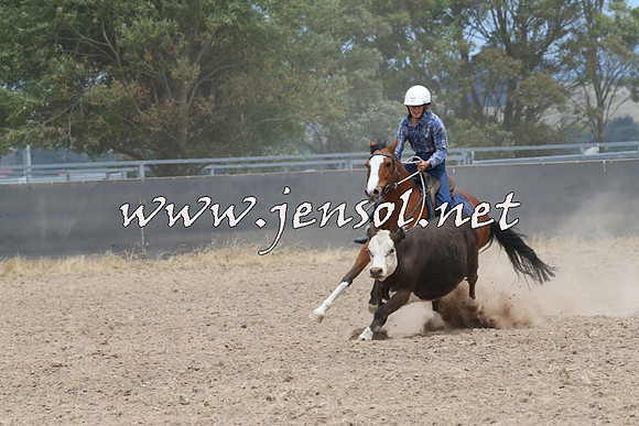 BraidwoodCampdraft2014_1236