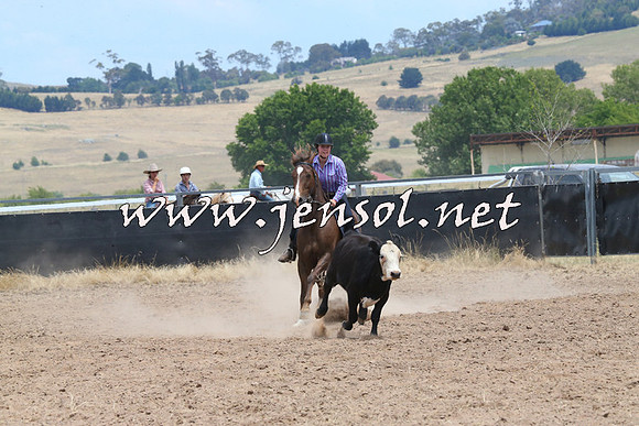 BraidwoodCampdraft2014_1191