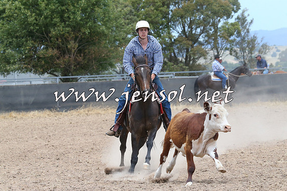 BraidwoodCampdraft2014_1186