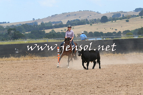 BraidwoodCampdraft2014_1240