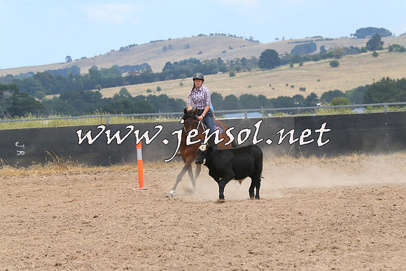 BraidwoodCampdraft2014_1242