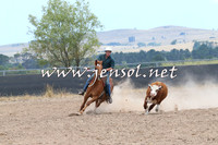 BraidwoodCampdraft2014_1167