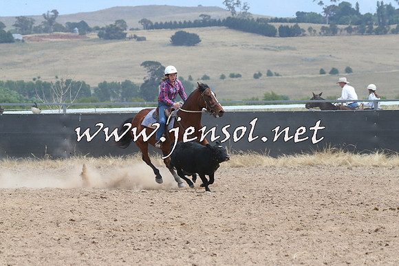 BraidwoodCampdraft2014_1304