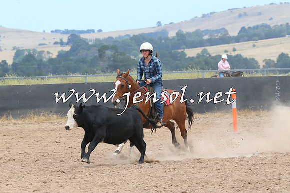 BraidwoodCampdraft2014_1213