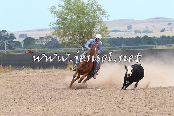 BraidwoodCampdraft2014_1225
