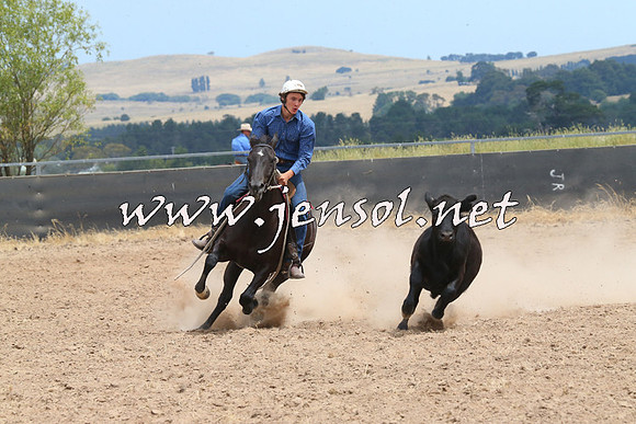 BraidwoodCampdraft2014_1285