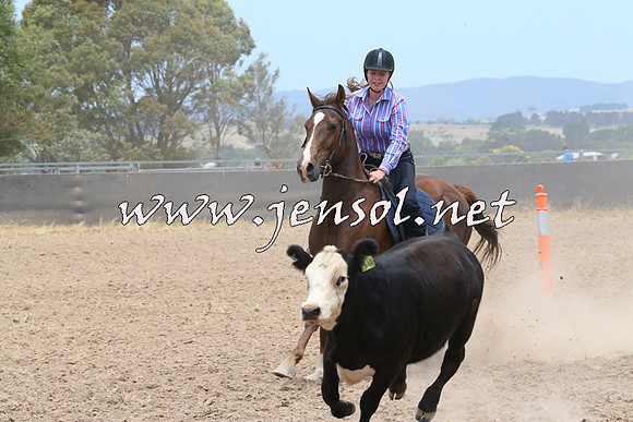 BraidwoodCampdraft2014_1195