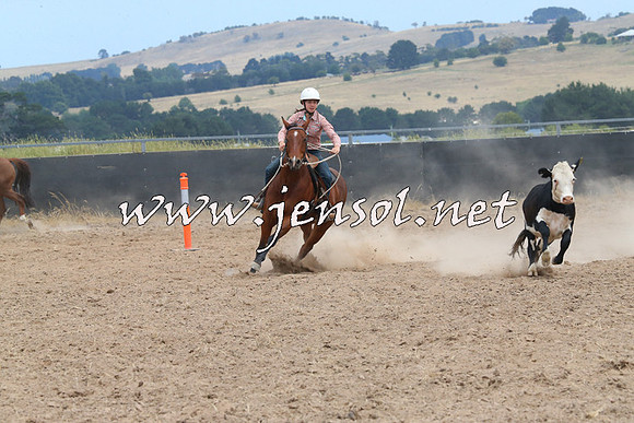 BraidwoodCampdraft2014_1250