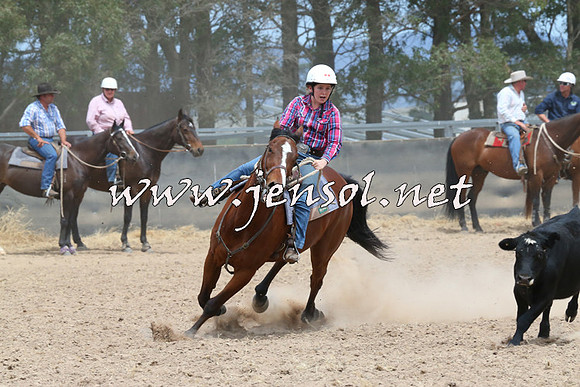 BraidwoodCampdraft2014_1308