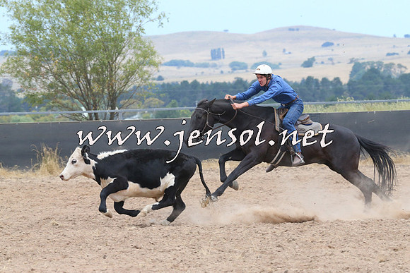 BraidwoodCampdraft2014_1218
