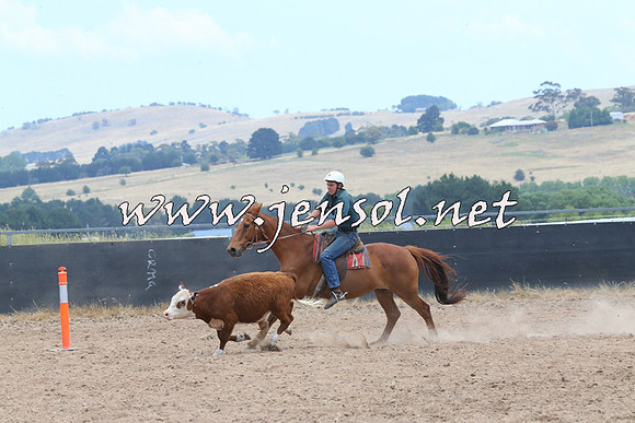 BraidwoodCampdraft2014_1161