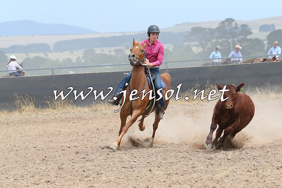 BraidwoodCampdraft2014_1315