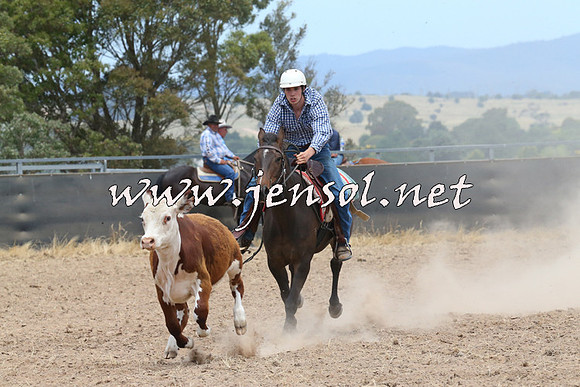 BraidwoodCampdraft2014_1175