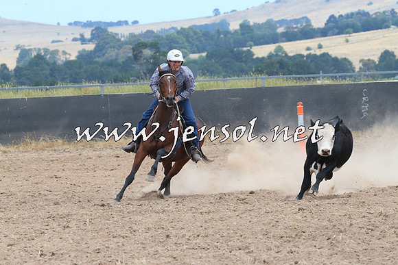 BraidwoodCampdraft2014_1207