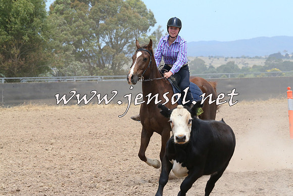 BraidwoodCampdraft2014_1193