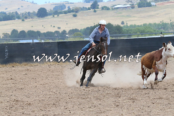 BraidwoodCampdraft2014_1168