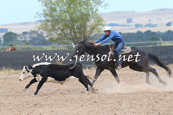 BraidwoodCampdraft2014_1217