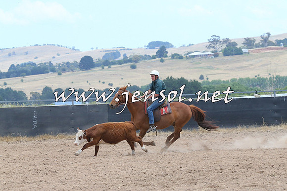 BraidwoodCampdraft2014_1160