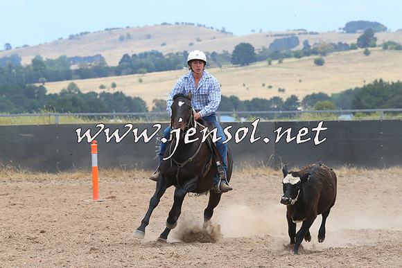 BraidwoodCampdraft2014_1204