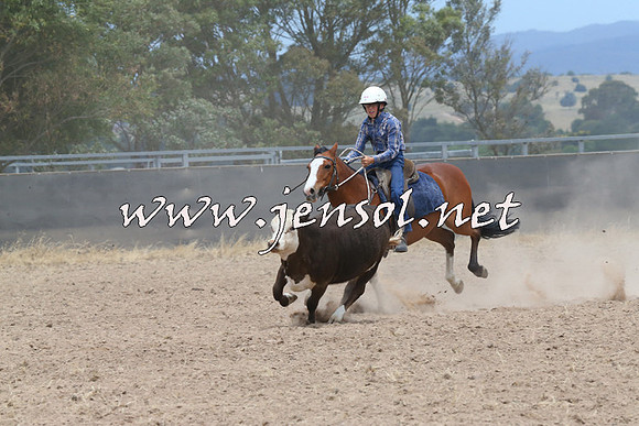 BraidwoodCampdraft2014_1232