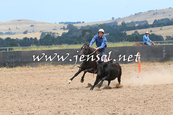 BraidwoodCampdraft2014_1289