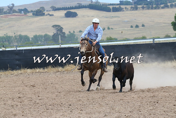 BraidwoodCampdraft2014_1246