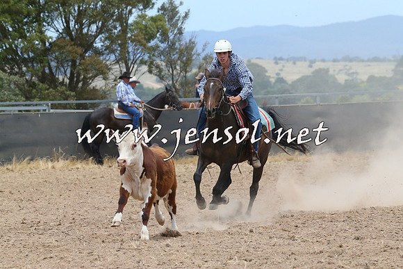BraidwoodCampdraft2014_1182