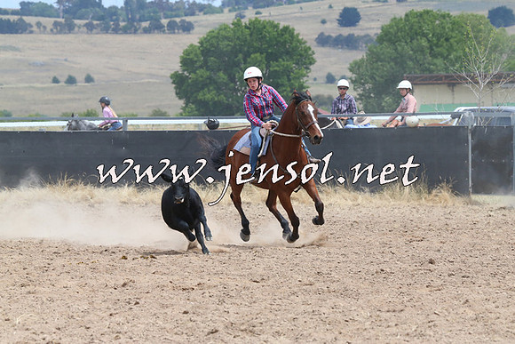 BraidwoodCampdraft2014_1307