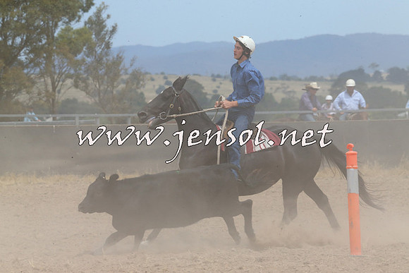 BraidwoodCampdraft2014_1295