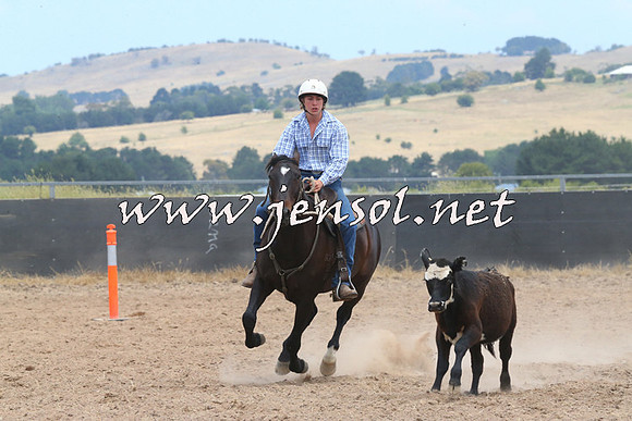BraidwoodCampdraft2014_1201