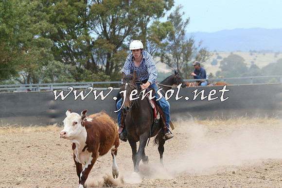 BraidwoodCampdraft2014_1187
