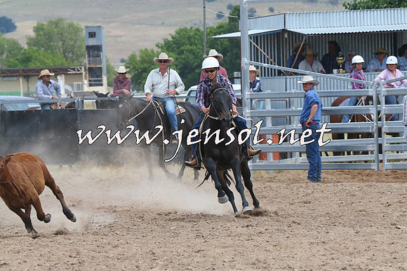 BraidwoodCampdraft2014_1283