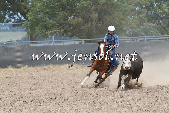 BraidwoodCampdraft2014_1228