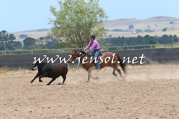 BraidwoodCampdraft2014_1196