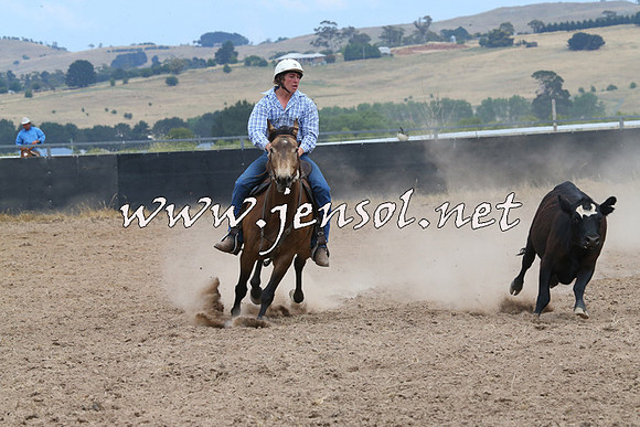 BraidwoodCampdraft2014_1247