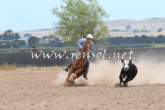 BraidwoodCampdraft2014_1226